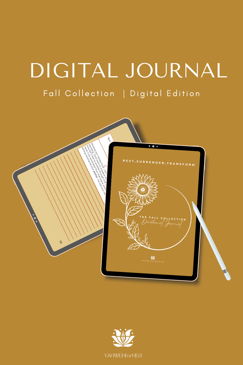 Digital Experience Edition – Fall Collection