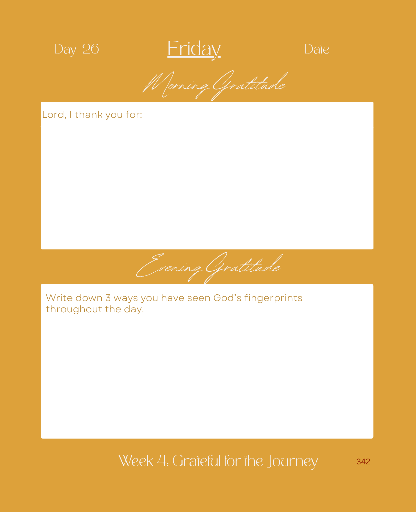Digital Experience Edition – Fall Collection